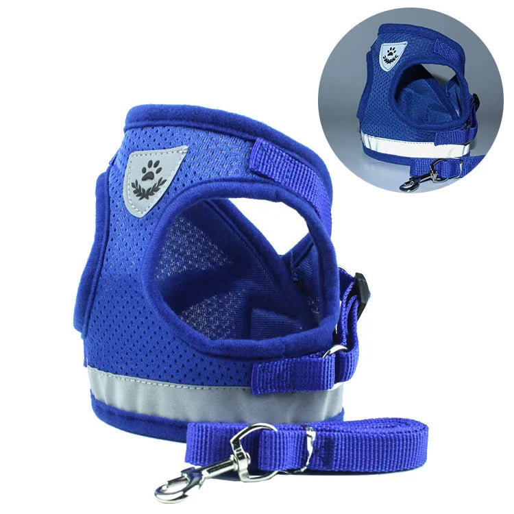 blue harness and leash set