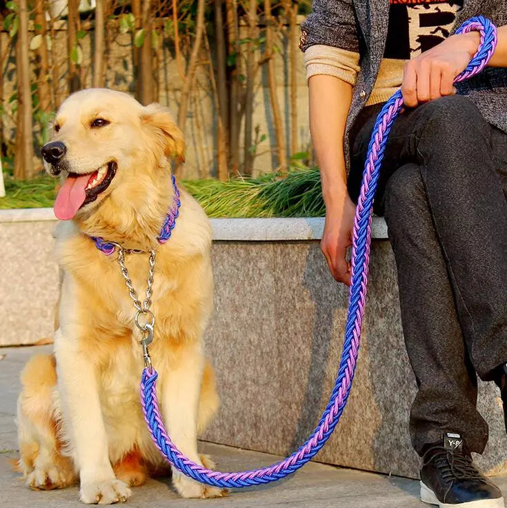 rope collar and leash set with dog