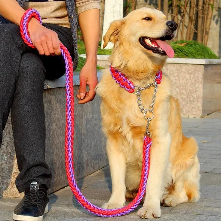 rope collar and leash set with dog