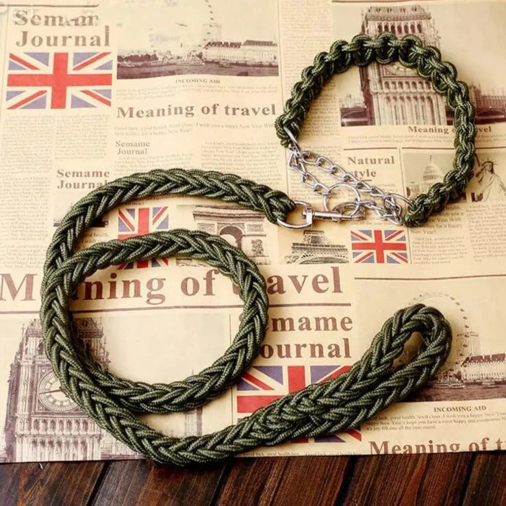 green rope collar and leash set