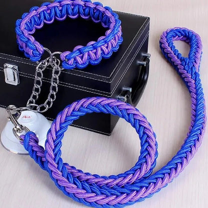 rope collar and leash set in blue and purple