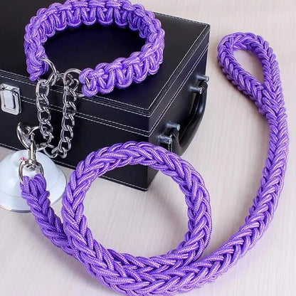 purple rope collar and leash set