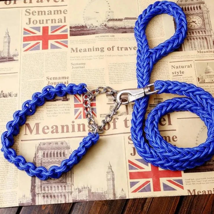 blue rope collar and leash set