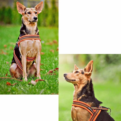 TRUELOVE Padded Anti-Pull Harness with 3M Scotchlite