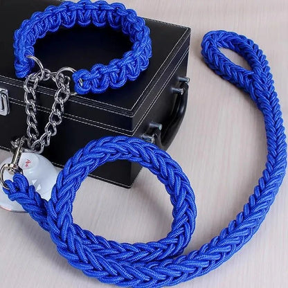 blue rope collar and leash set