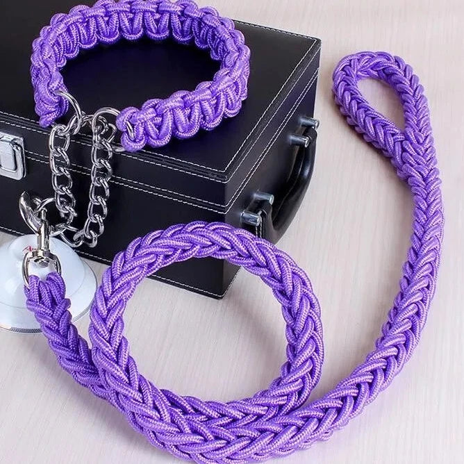 purple rope collar and leash set with dog