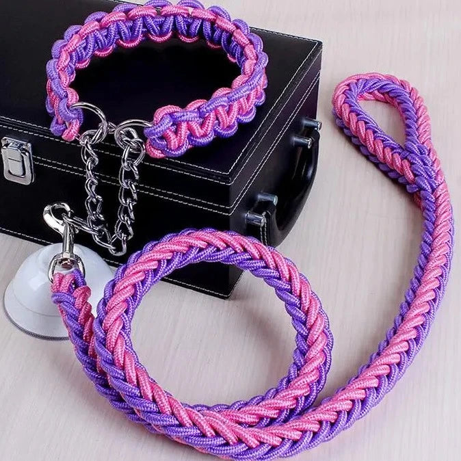 rope collar and leash set in purple and pink