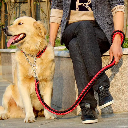 rope collar and leash set with dog