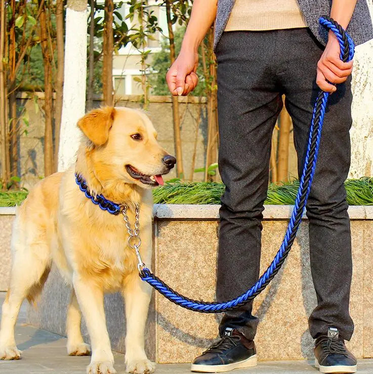 rope collar and leash set with dog