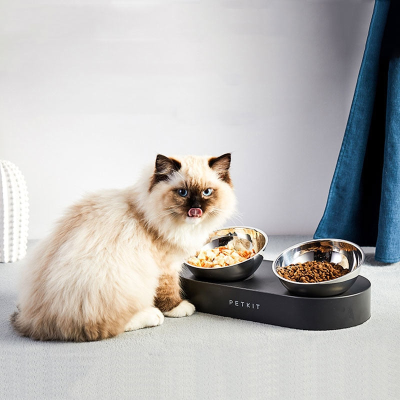 cat eating from stainless steel bowls with black base