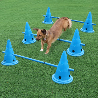 training cones for dogs