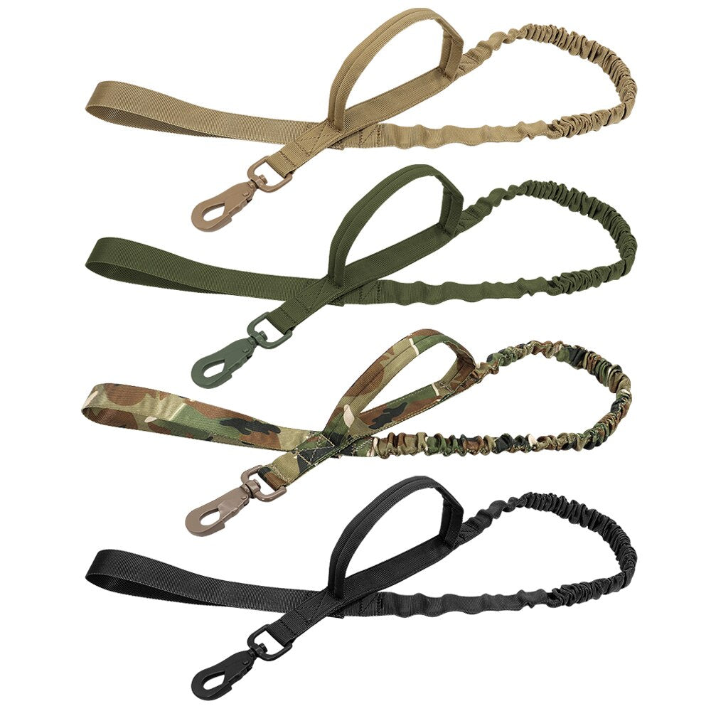 bungee leashes