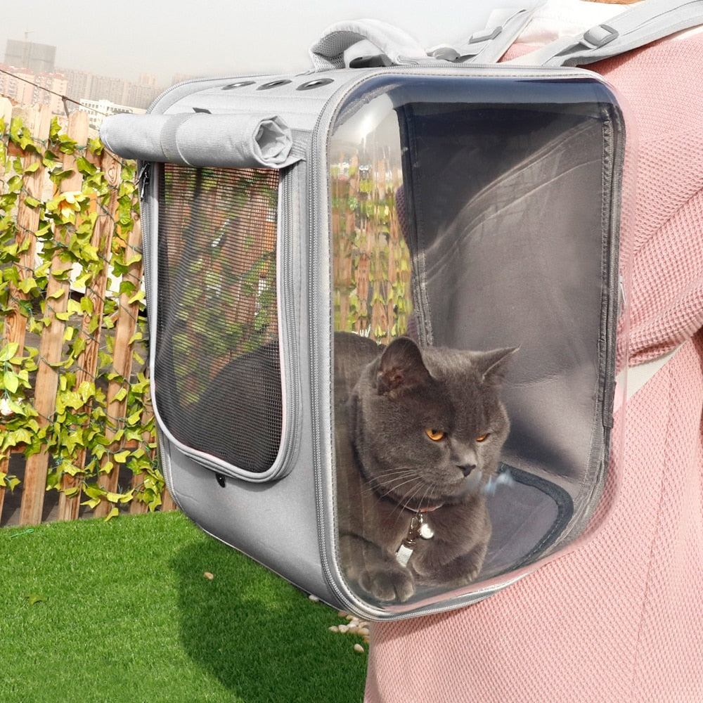 RUI High Ventilation Cat Backpack with Rollup Shade