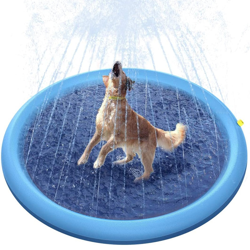 Puppy playing in sprinkler pad.