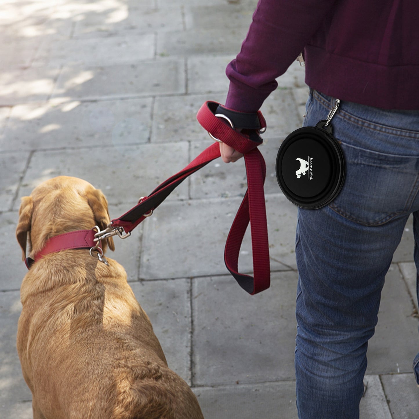 REST-EAZZZY Collapsible Travel Pet Bowl - 2-Pack