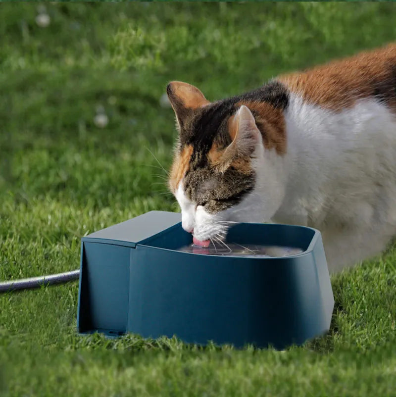 cat drinking from navy blue pet running water bowl