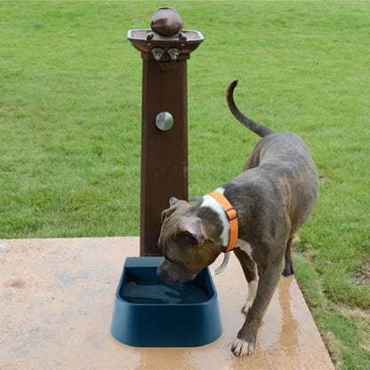 dog drinking from navy blue pet running water bowl