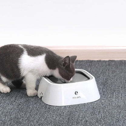 cat drinking from bowl