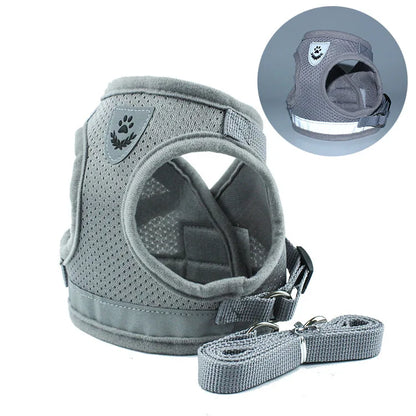 gray harness and leash set