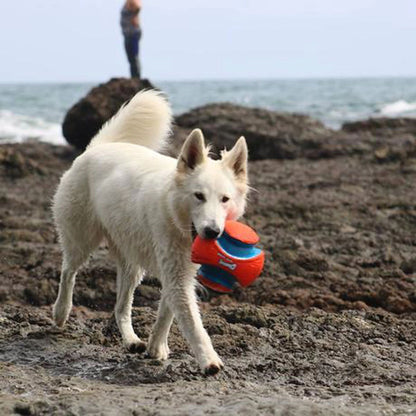 dog with product