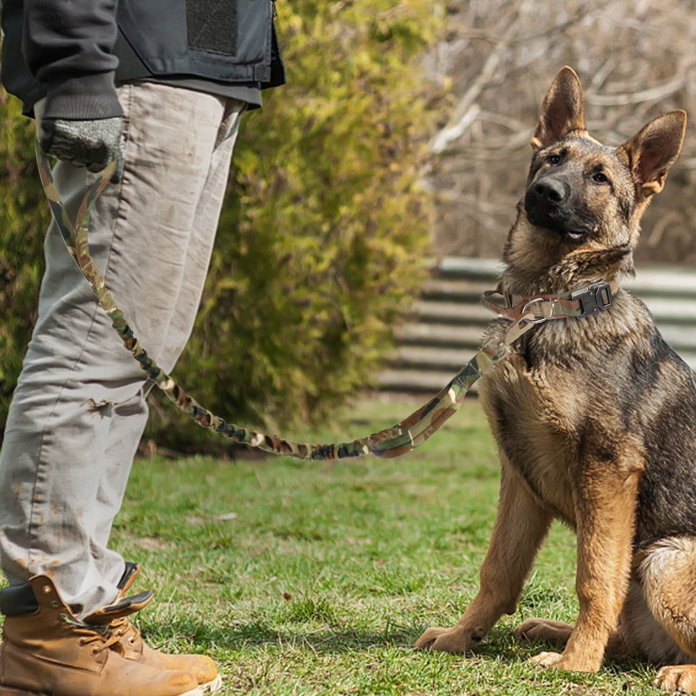 dog with camo set