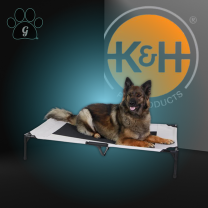 gray elevated cooling cot for pets with large dog on top