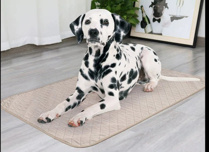 PETOPIA Multipurpose Reusable Pet Pee Pad