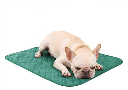 PETOPIA Multipurpose Reusable Pet Pee Pad