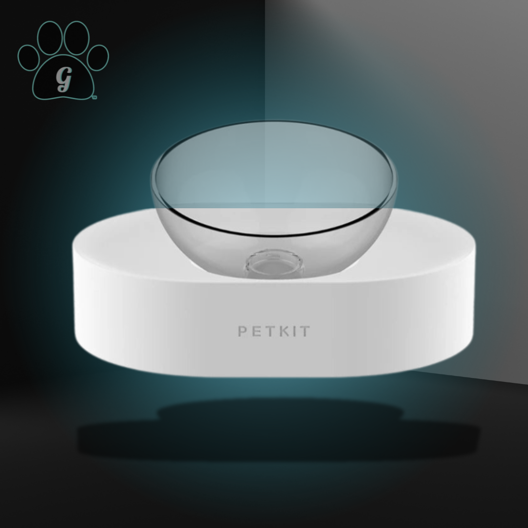 clear pet bowl with white base