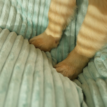 dog paws on bed