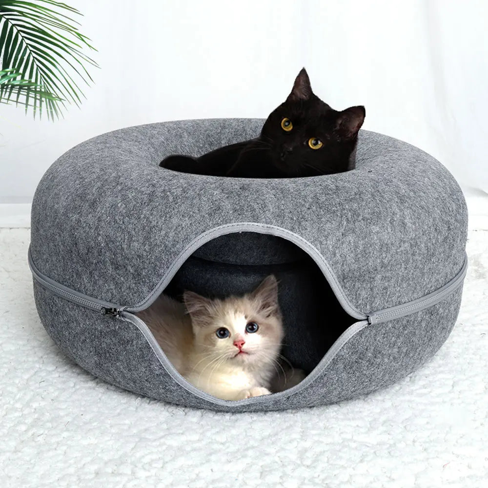 dark gray cat donut bed with cats sleeping inside and on top