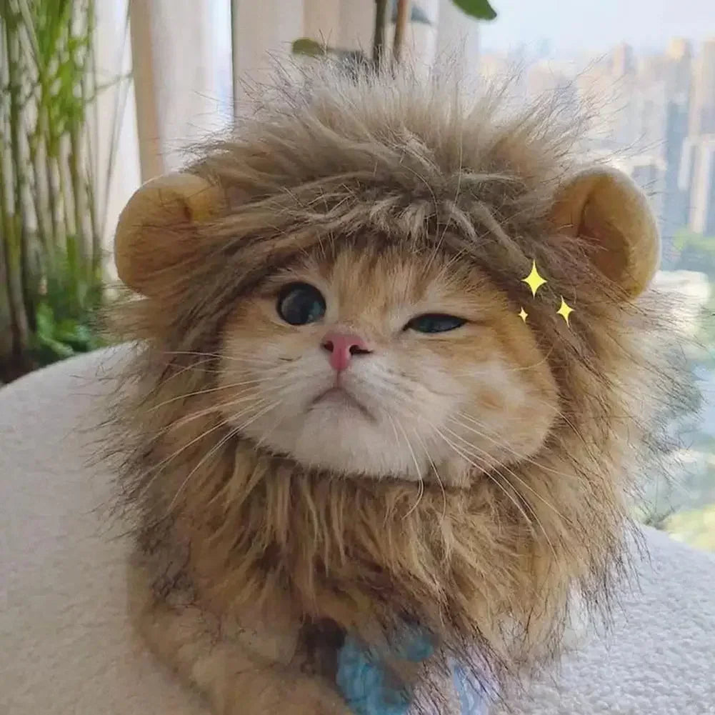 cat wearing lion costume indoors