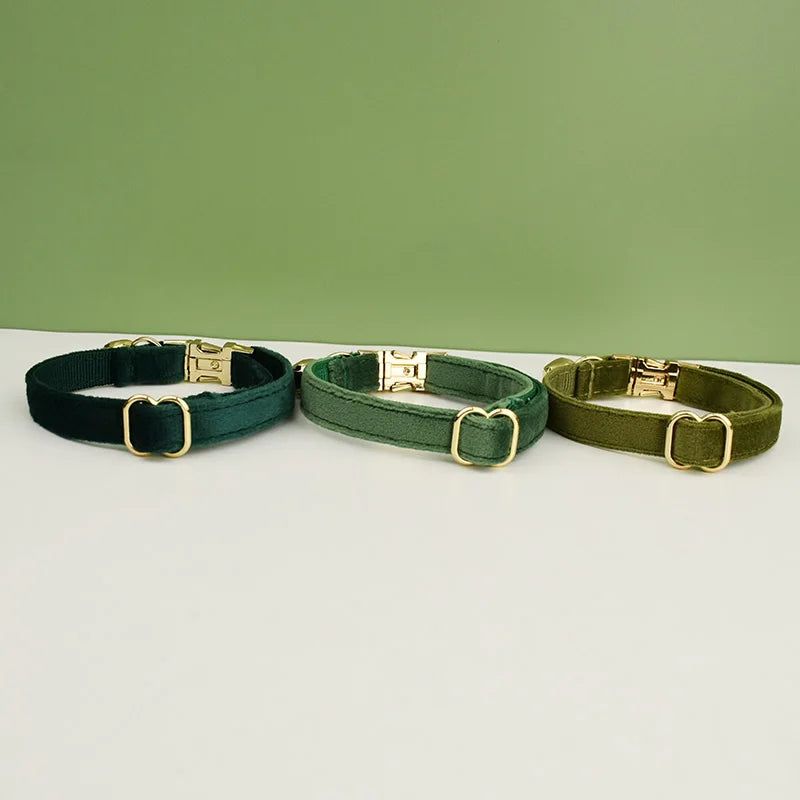 cat collars in various colors shown