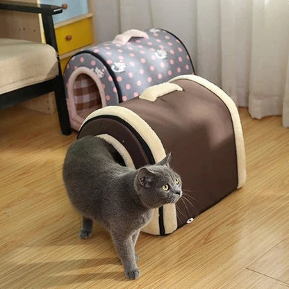 cat exiting bed