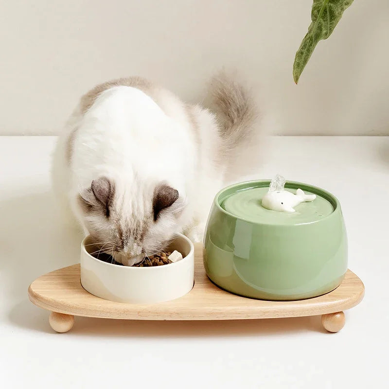 cat eating from ceramic bowl and fountain set on stand