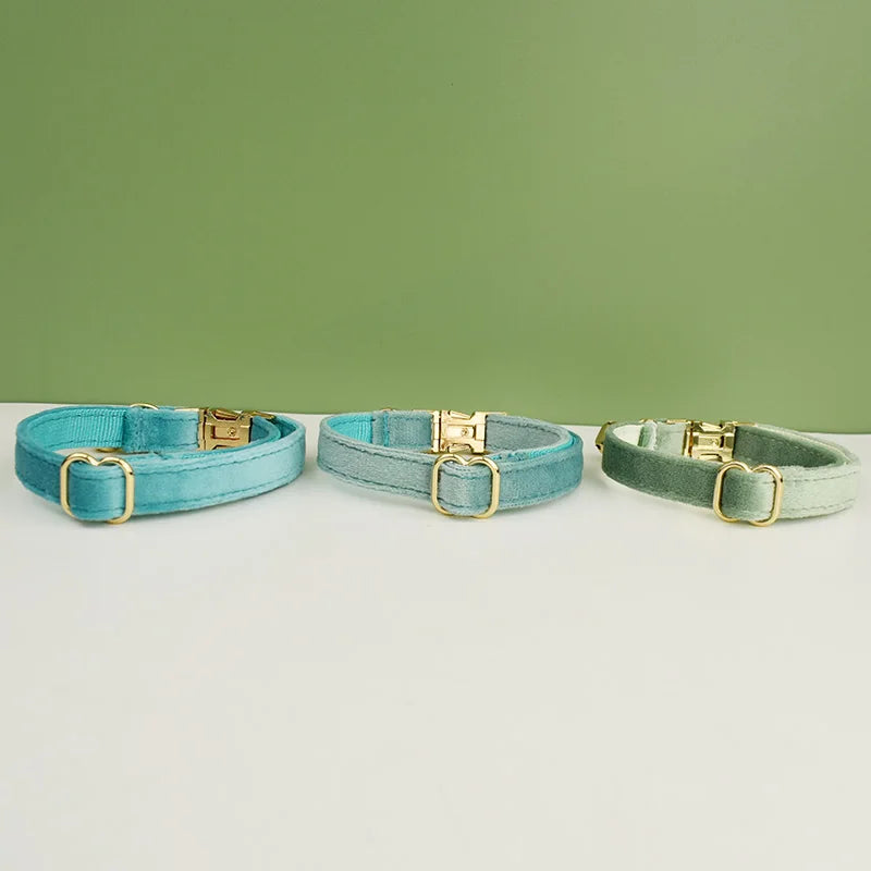 cat collars in various colors shown