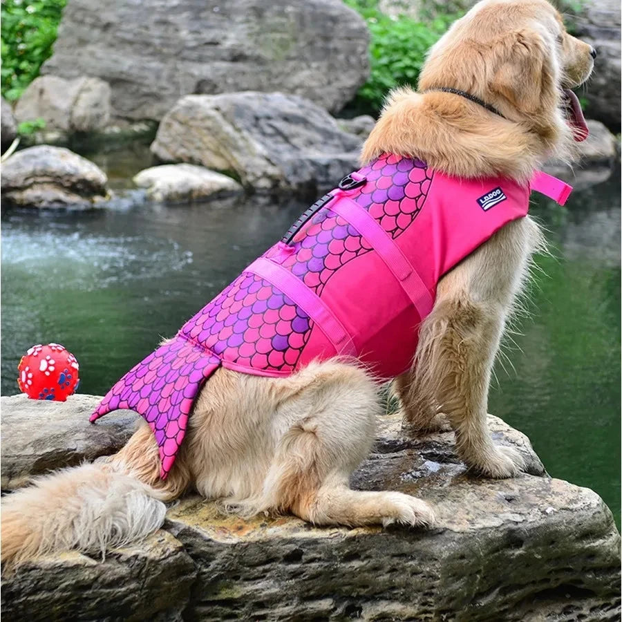 golden retriever dog wearing mermaid style lifejacket