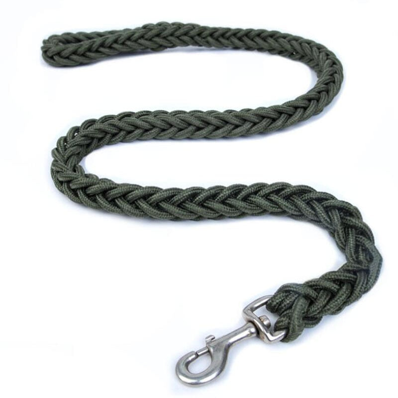 green rope dog leash