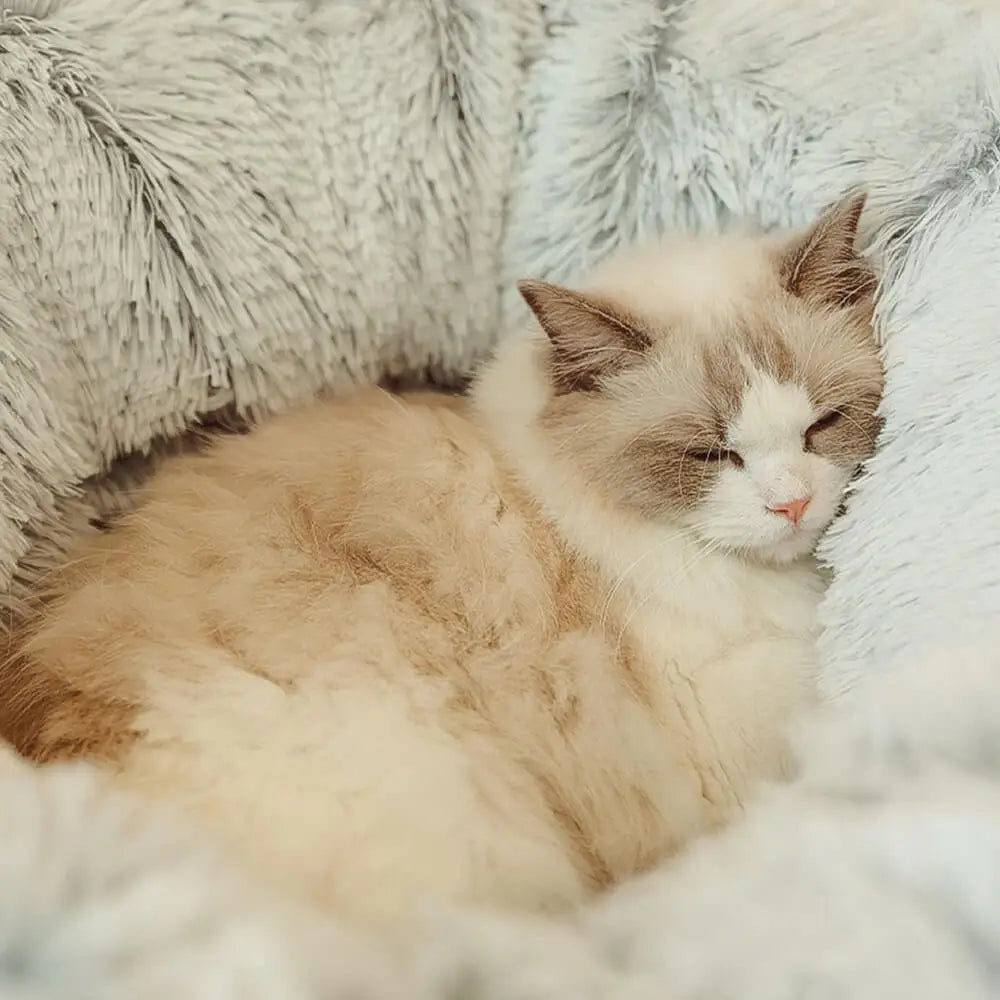 Close up of plush material and cat sleeping.