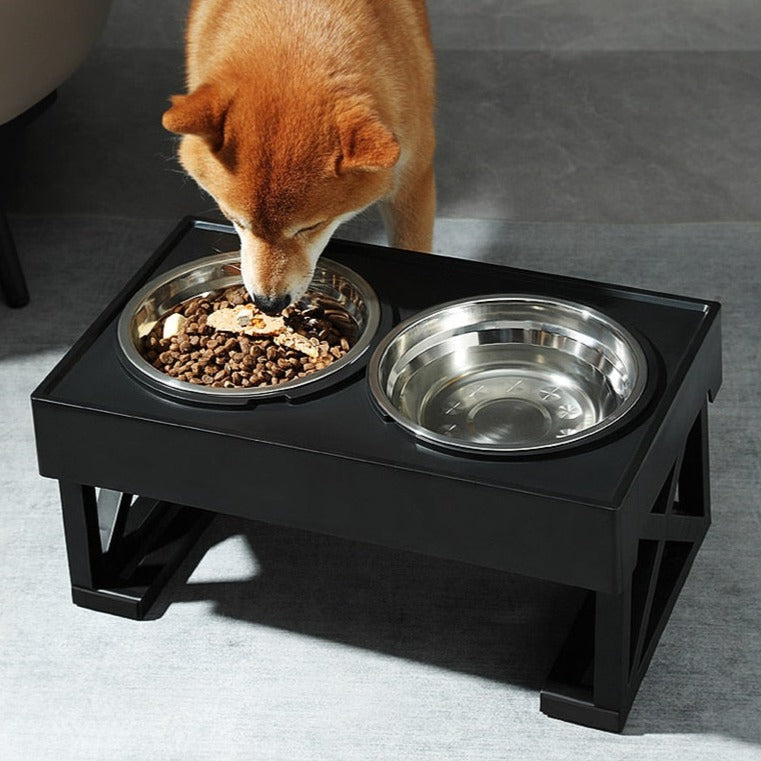 dog eating from feeding set with stainless steel bowls