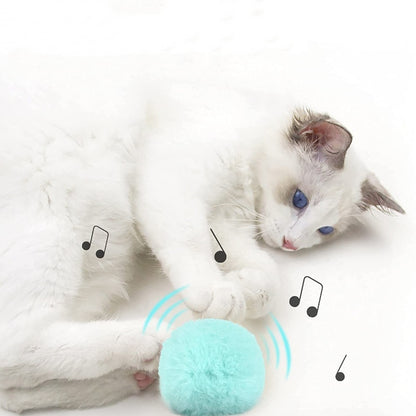 cat playing with mint colored teaser ball