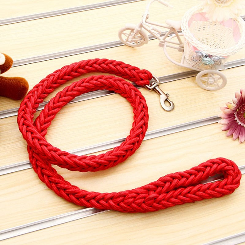 red rope dog leash