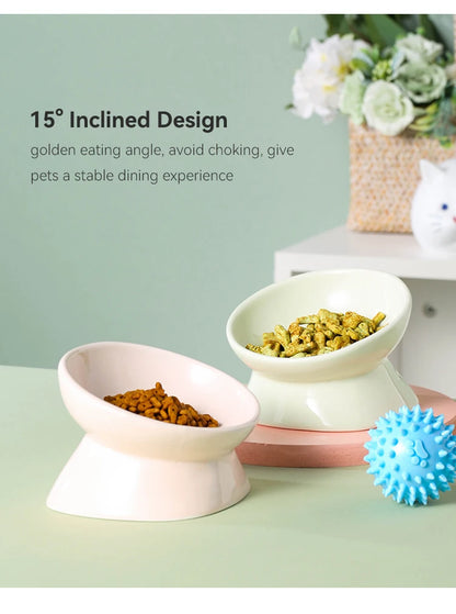 WHISKIES Ergonomic 5" Ceramic Pet Bowl