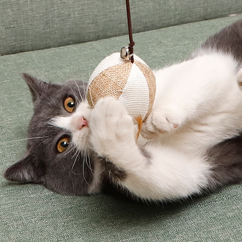 cat playing with wooden handheld cat wand toy