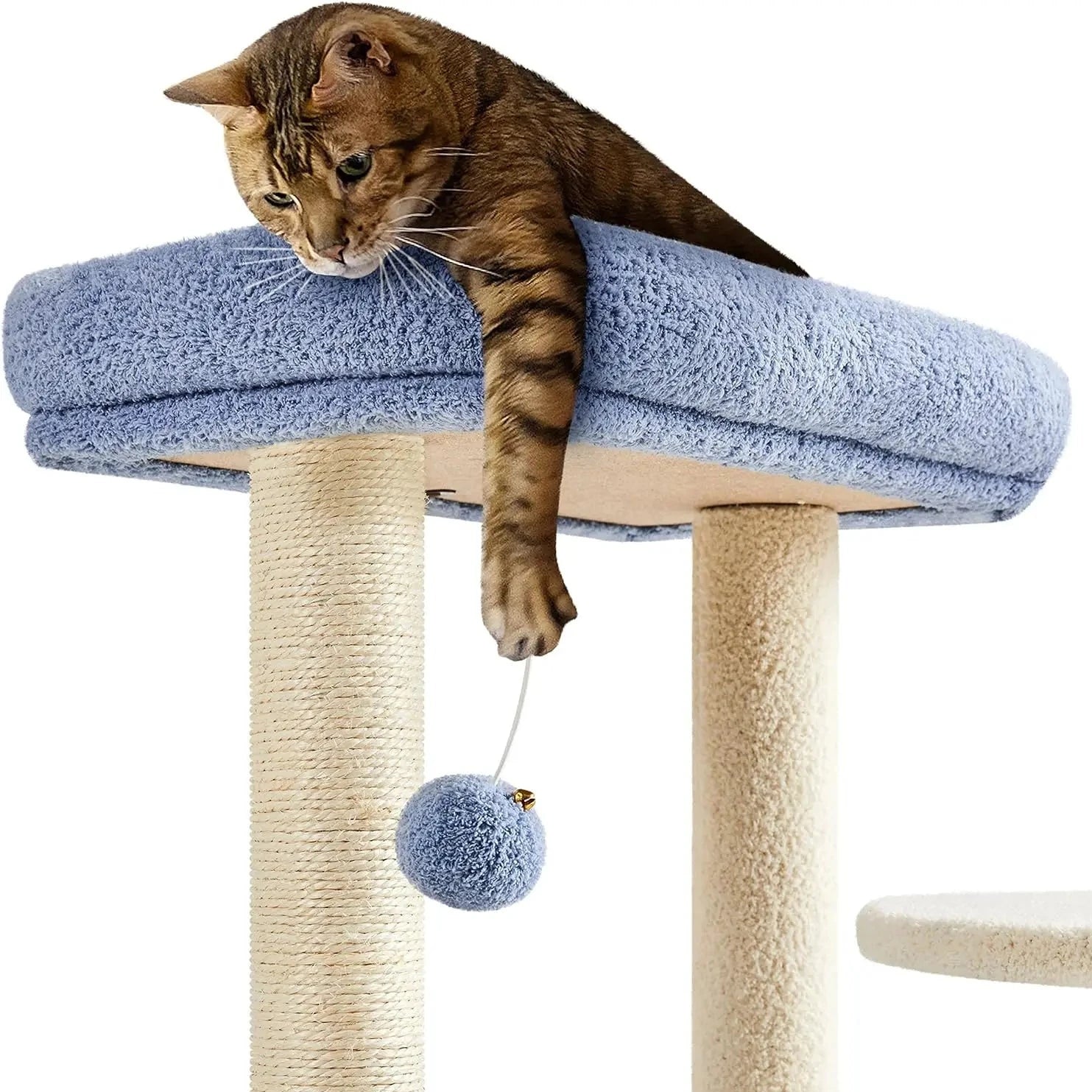 cat playing with hanging plush ball