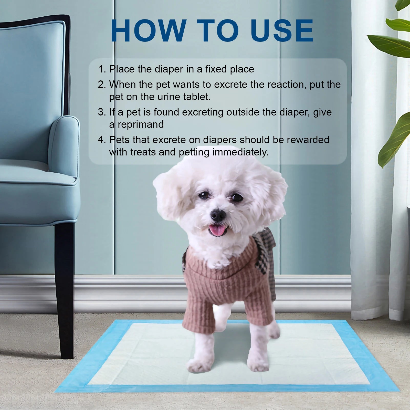 Place the diaper in a fixed place, place the pet on the urine pad, coach if they excrete outside, reward if they excrete on the pad