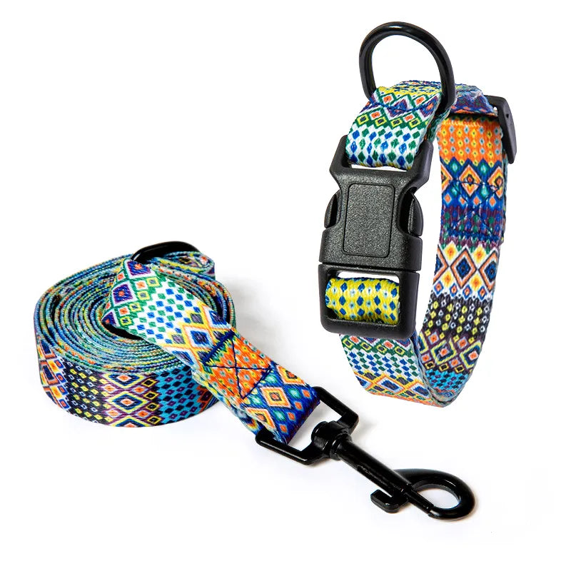 dog collar and leash set