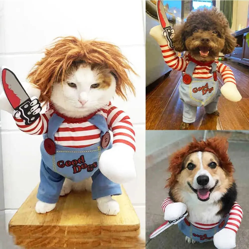 cats and dogs wearing Chucky costume