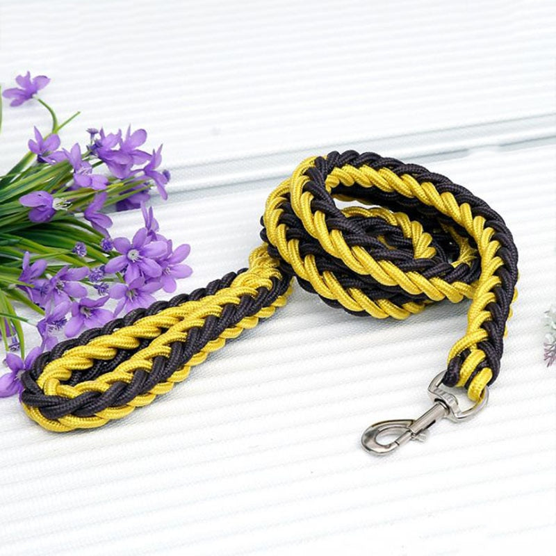 dual colored rope leash