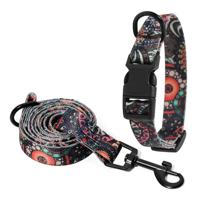 dog collar and leash set